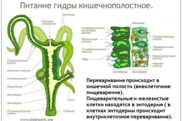 Где можно купить наркотики